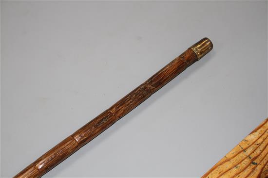 A walking stick, the ivory handle carved as a dogs head with glass eyes, silver collar, London 1918, overall length 84cm